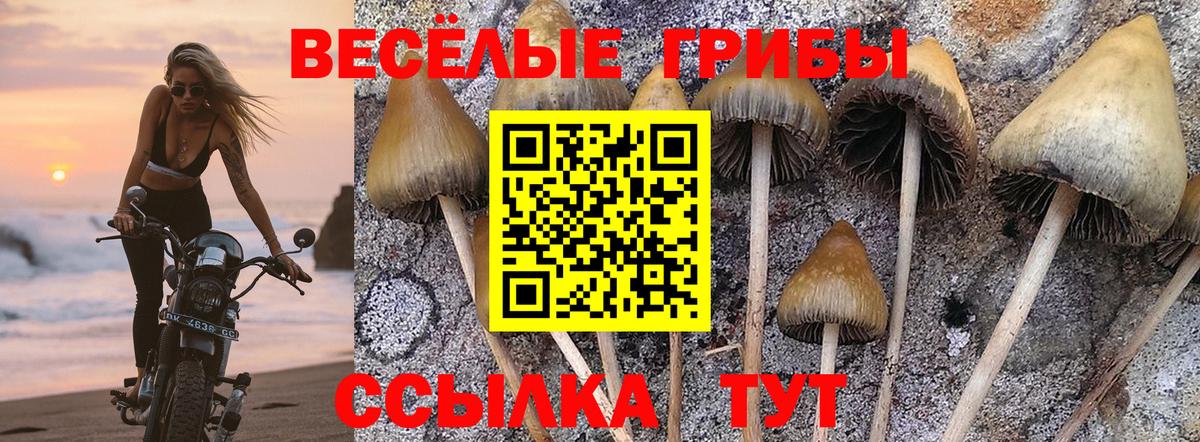 Осинники  как найти закладки  Галлюциногенные грибы Psilocybe  Вход с VPN  Галлюциногенные грибы Magic Shrooms 